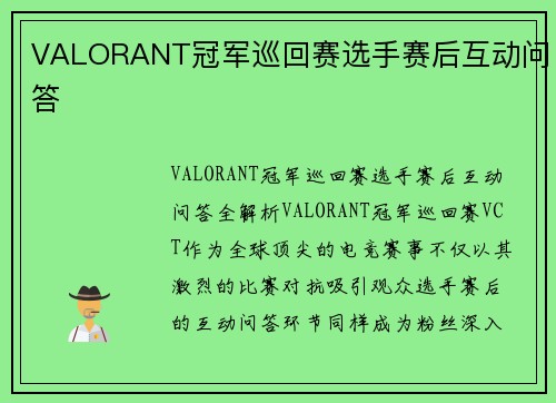 VALORANT冠军巡回赛选手赛后互动问答