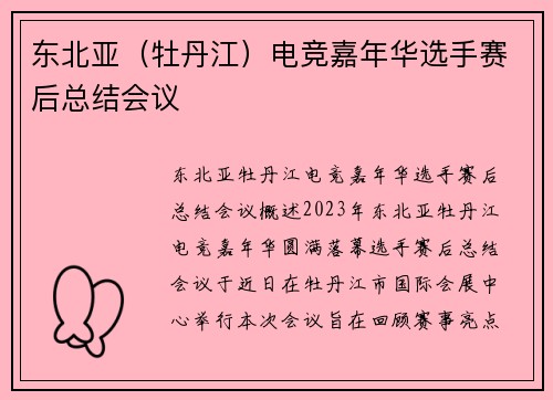 东北亚（牡丹江）电竞嘉年华选手赛后总结会议