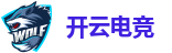 开云电竞